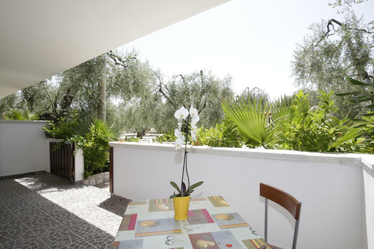 ויאסטה Agriturismo Da Mauro מראה חיצוני תמונה